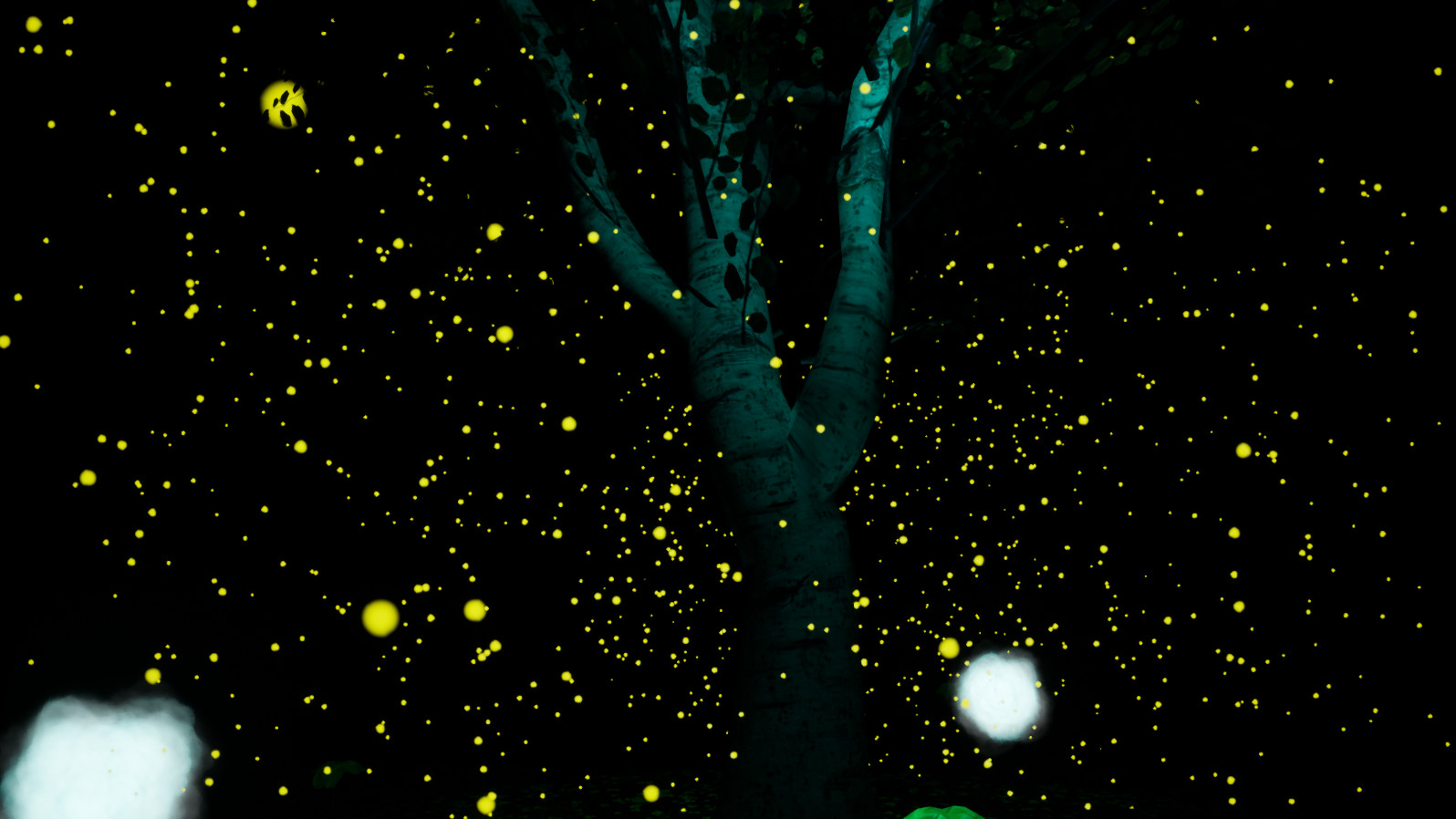 The Rift
