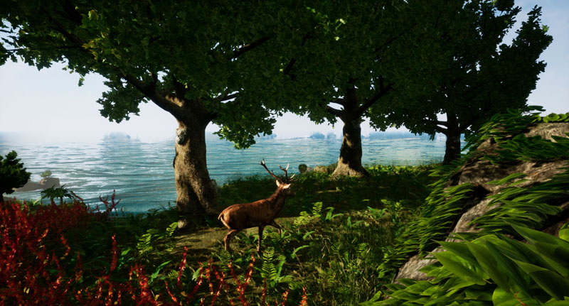 Away: The Survival Series