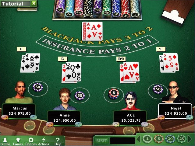 Hoyle Casino Games 2012