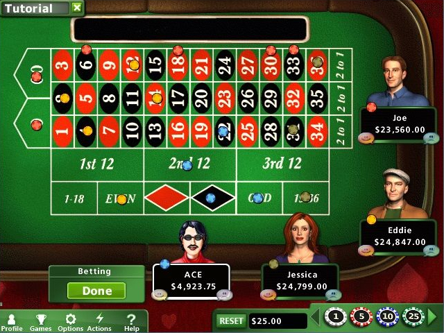 Hoyle Casino Games 2012