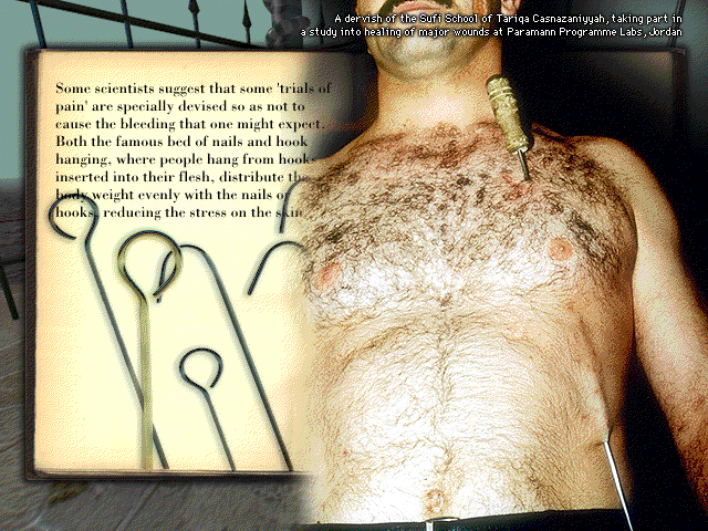 Weird: Truth is Stranger than Fiction