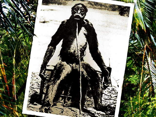 Weird: Truth is Stranger than Fiction