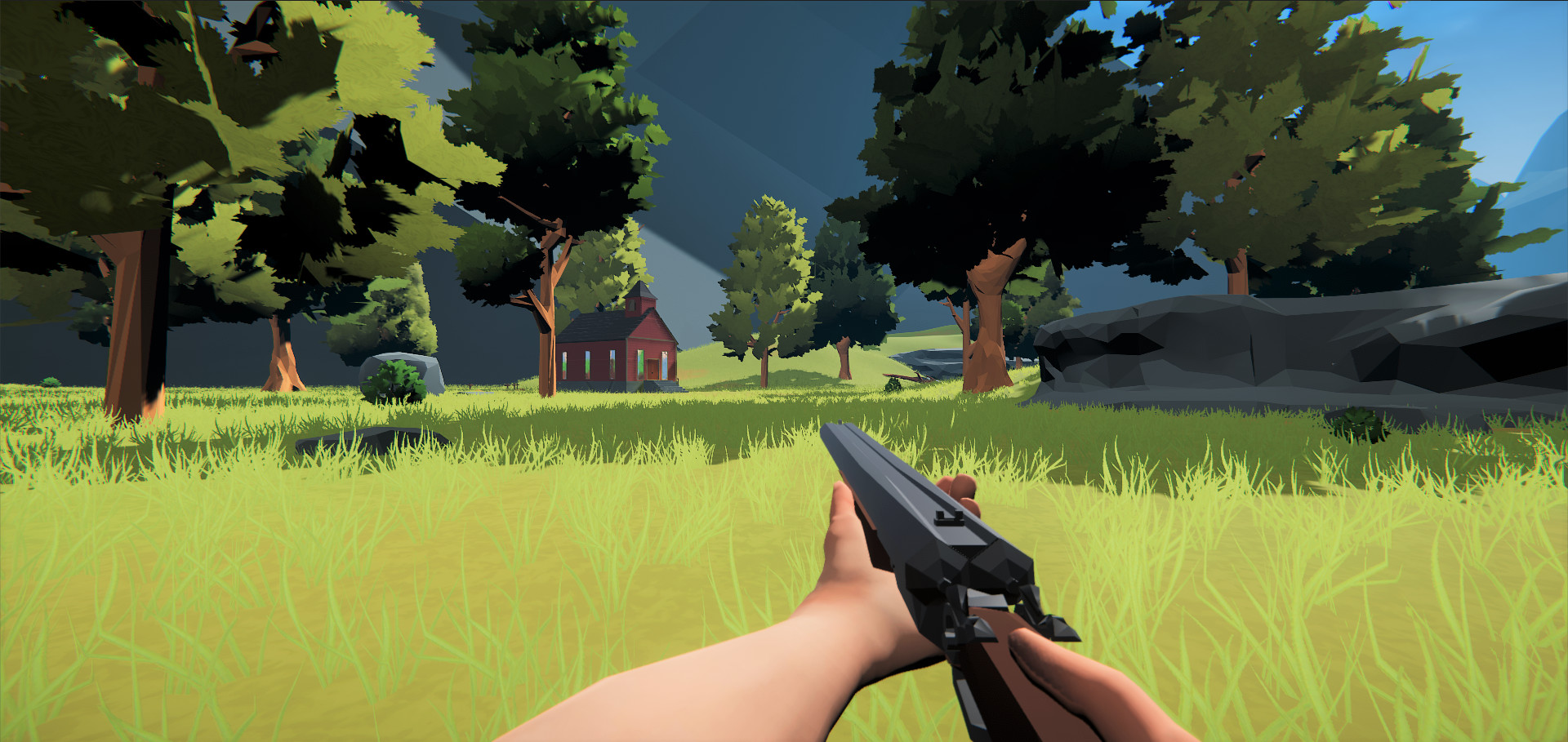 Wild West and Wizards