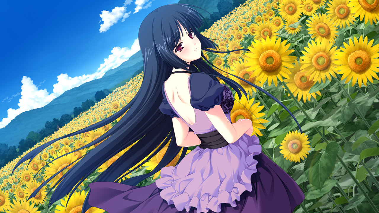 My Fair Princess