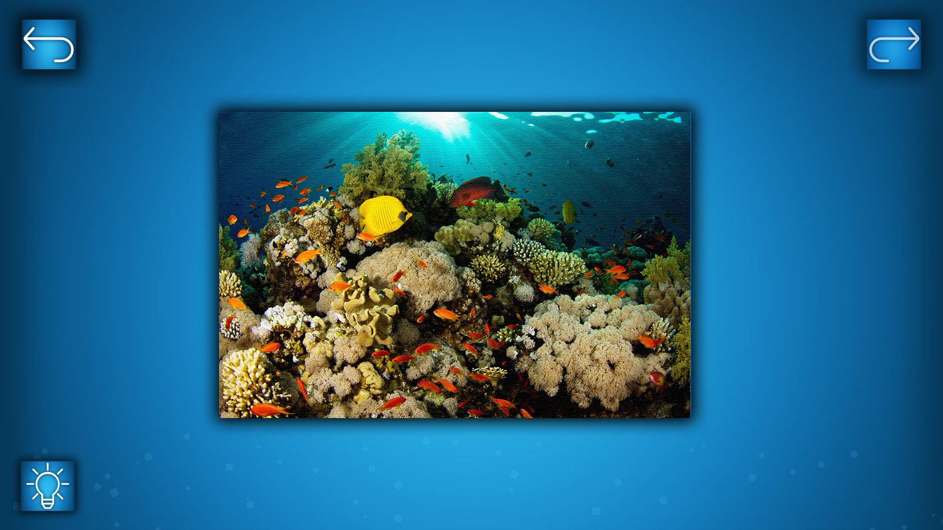 Puzzle: Ocean