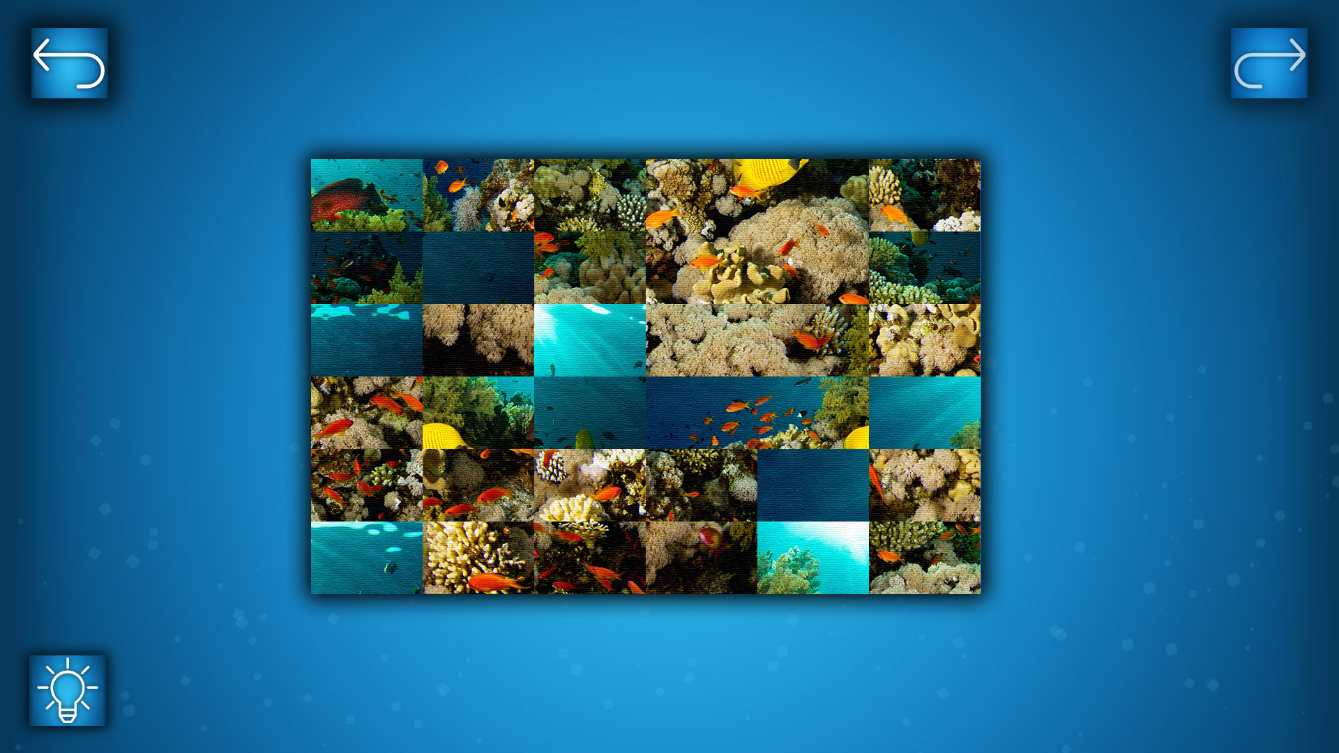 Puzzle: Ocean