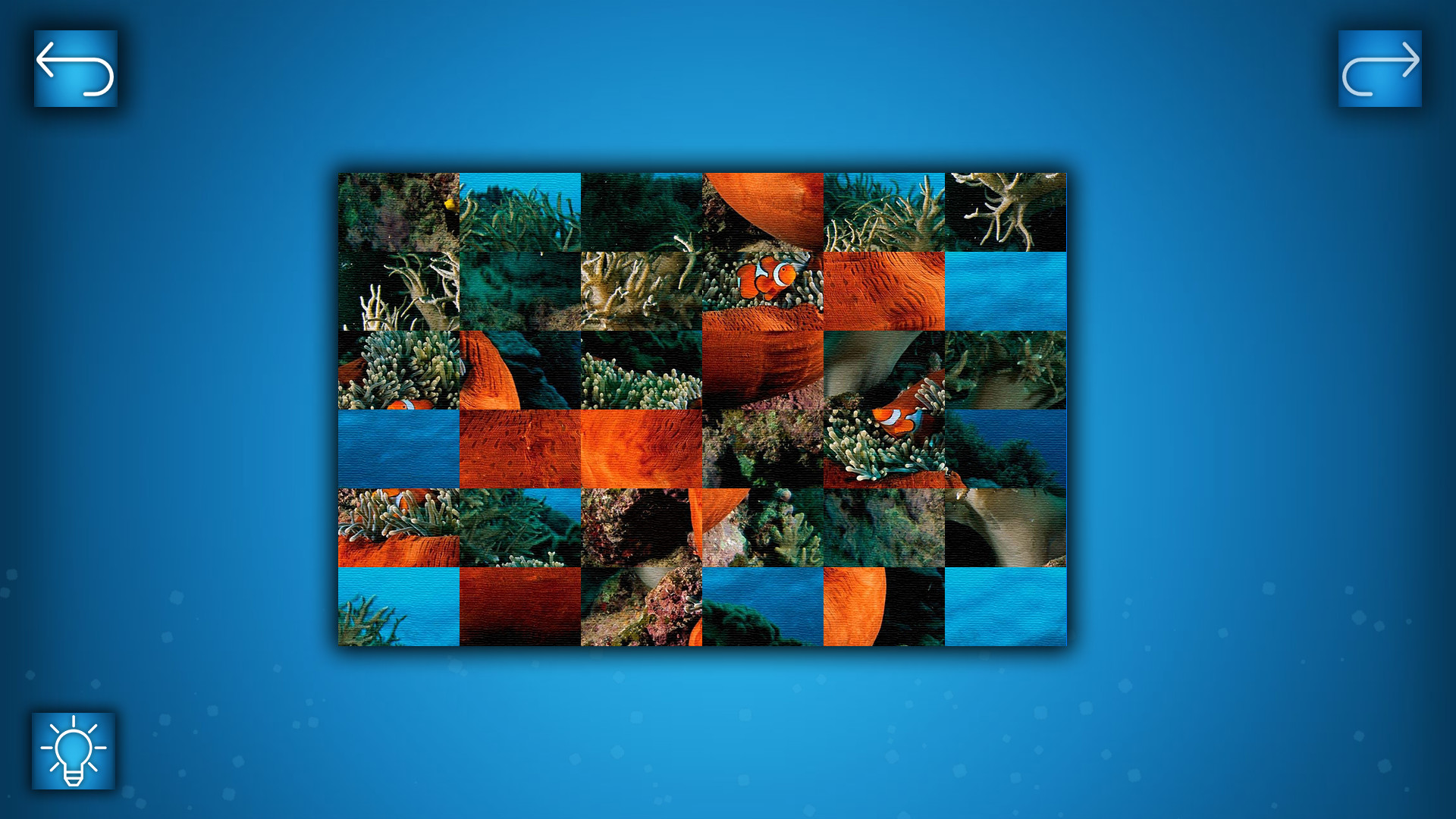 Puzzle: Ocean