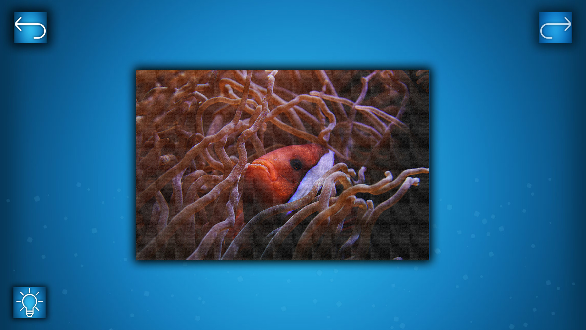 Puzzle: Ocean