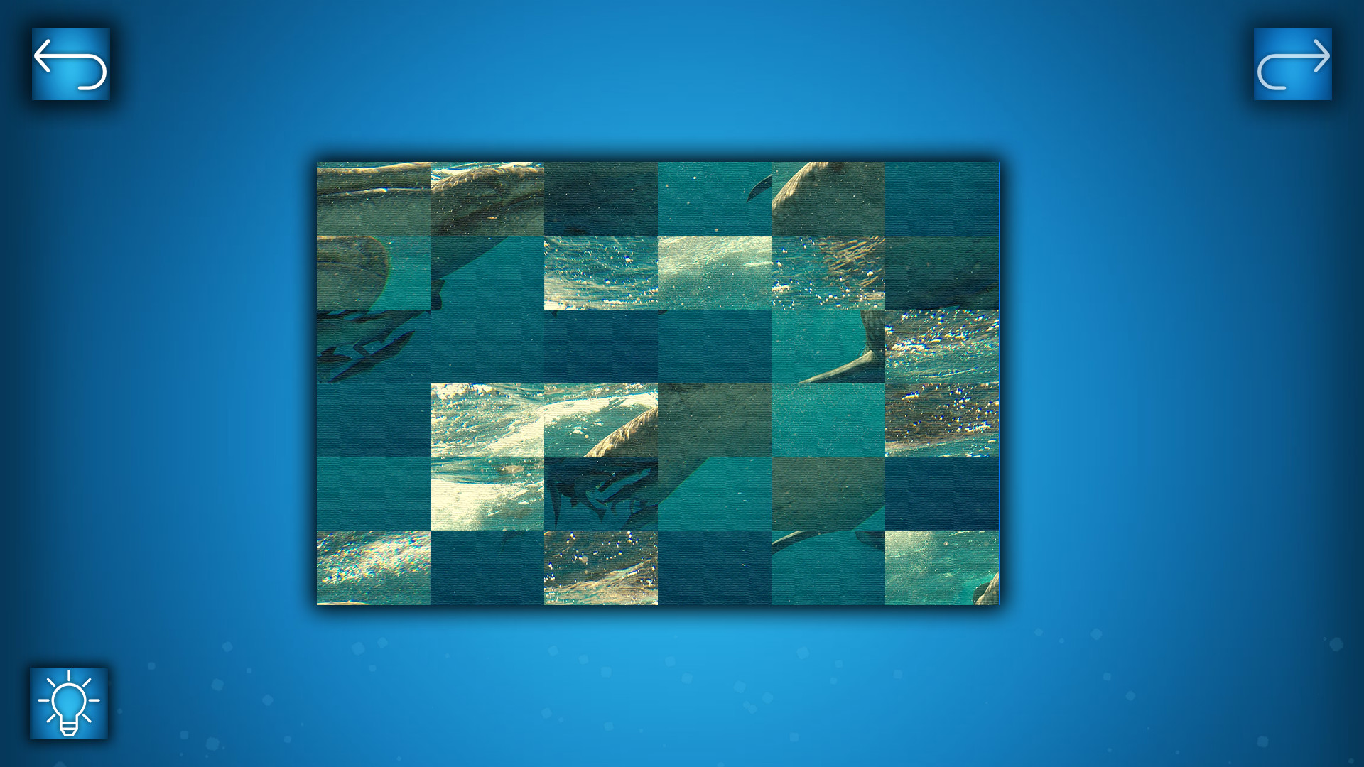 Puzzle: Ocean