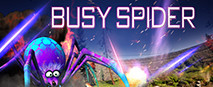 Busy Spider
