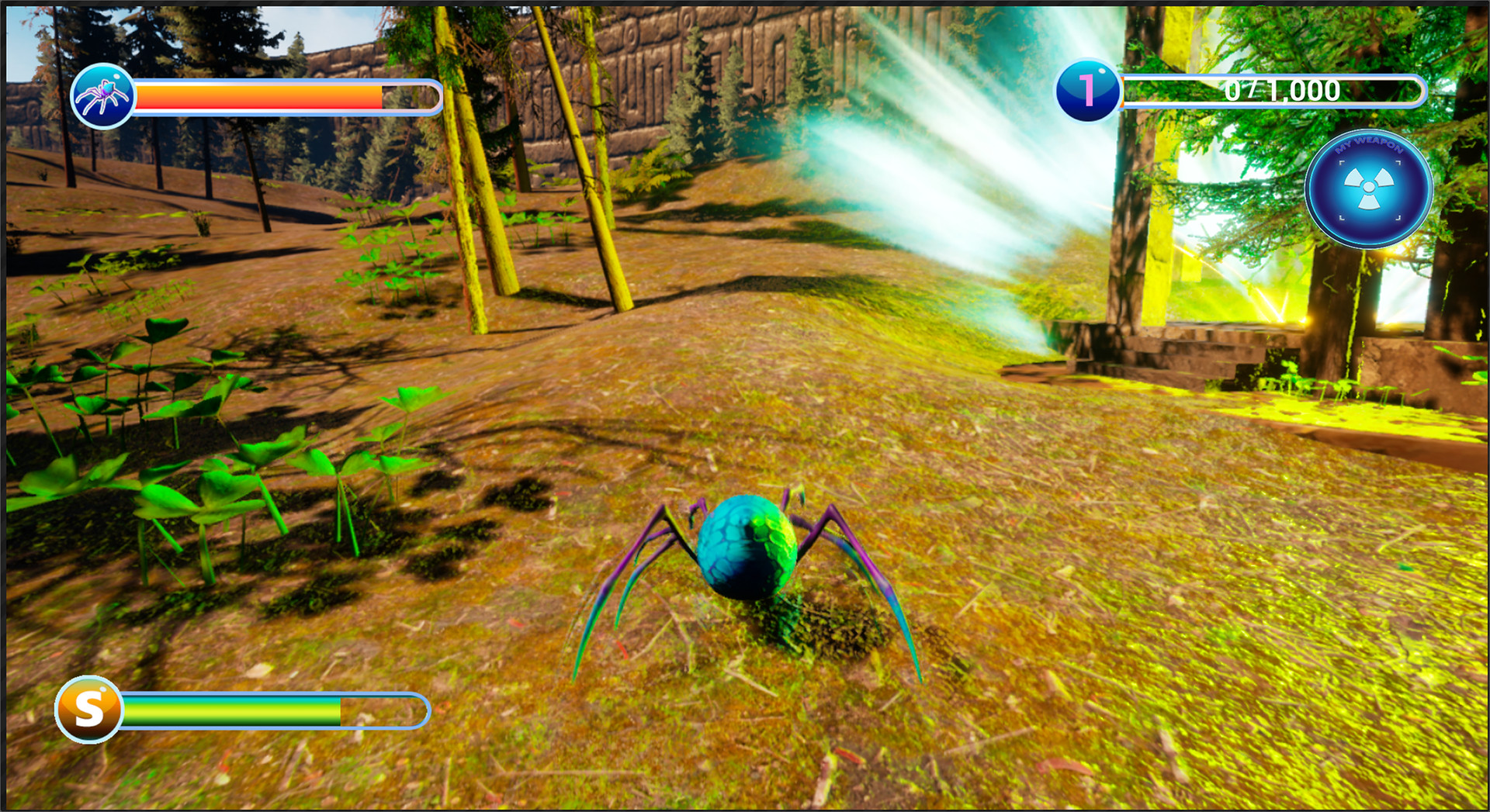 Busy Spider