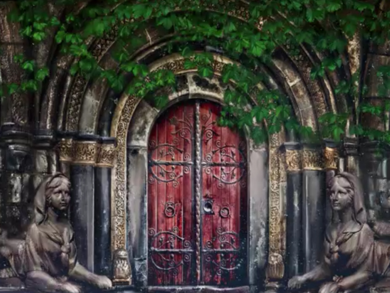 The Nine Lives of Nim: Fortune’s Fool