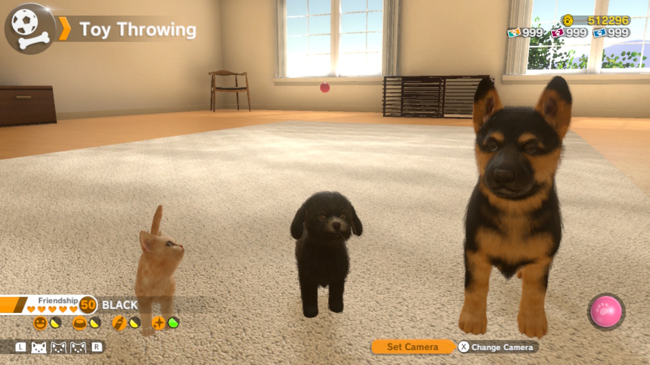 Little Friends: Dogs &amp; Cats