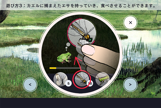 Frog Minutes