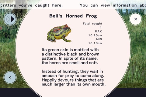 Frog Minutes