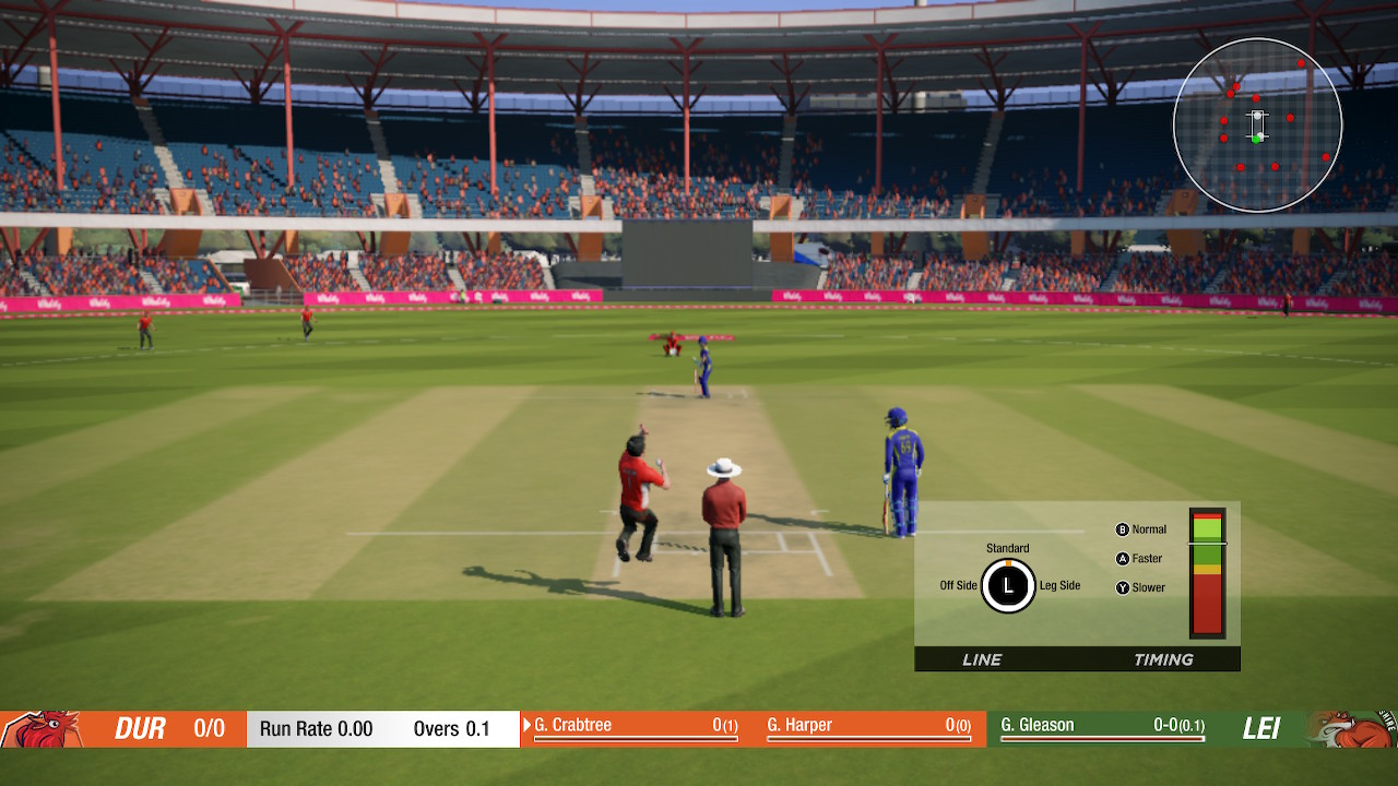 Cricket 19