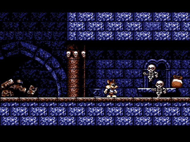 Titus the Fox: To Marrakech and Back