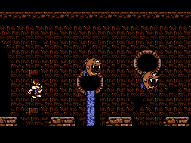 Titus the Fox: To Marrakech and Back