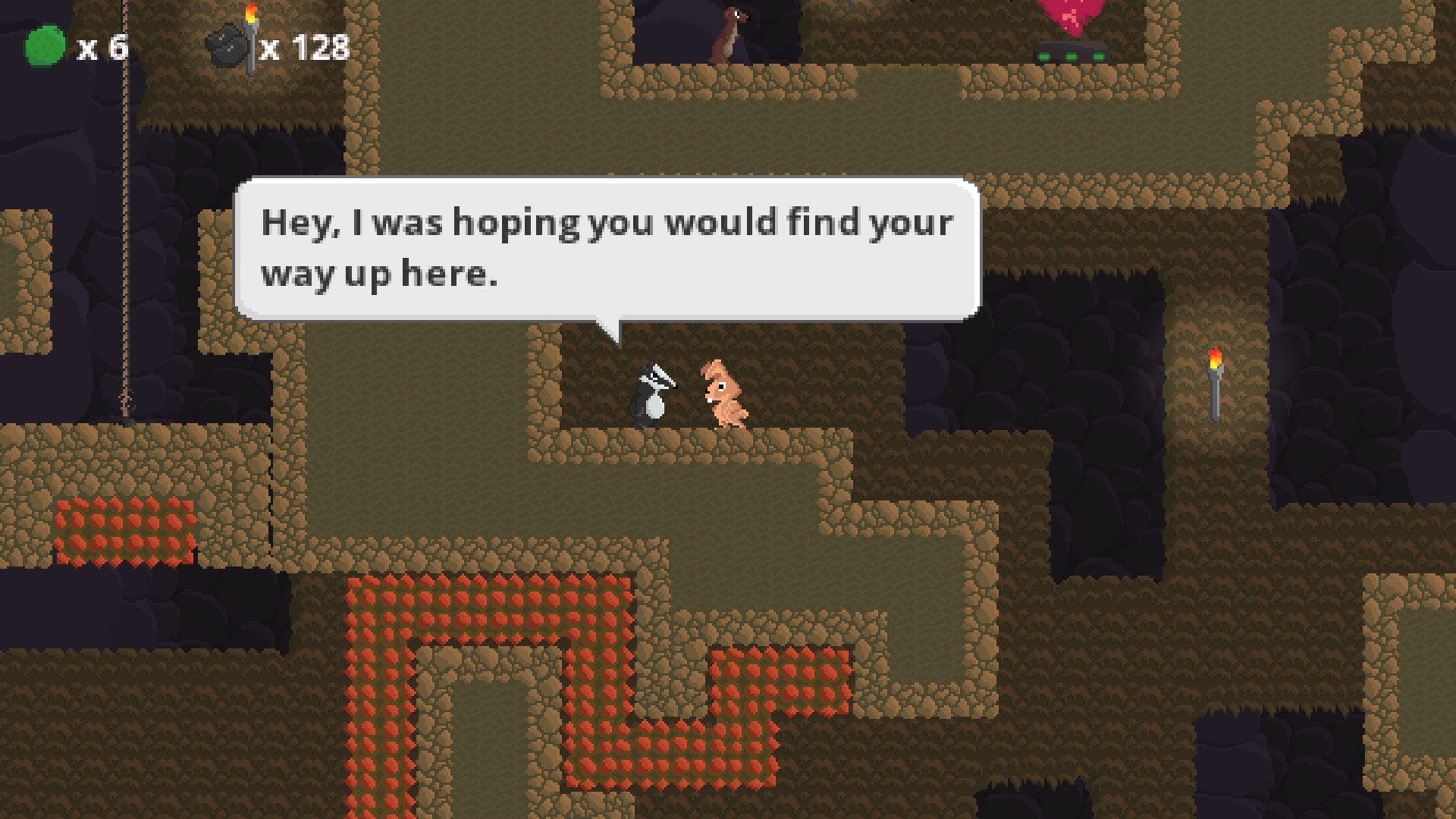 Run Jump Rabbit Turtle