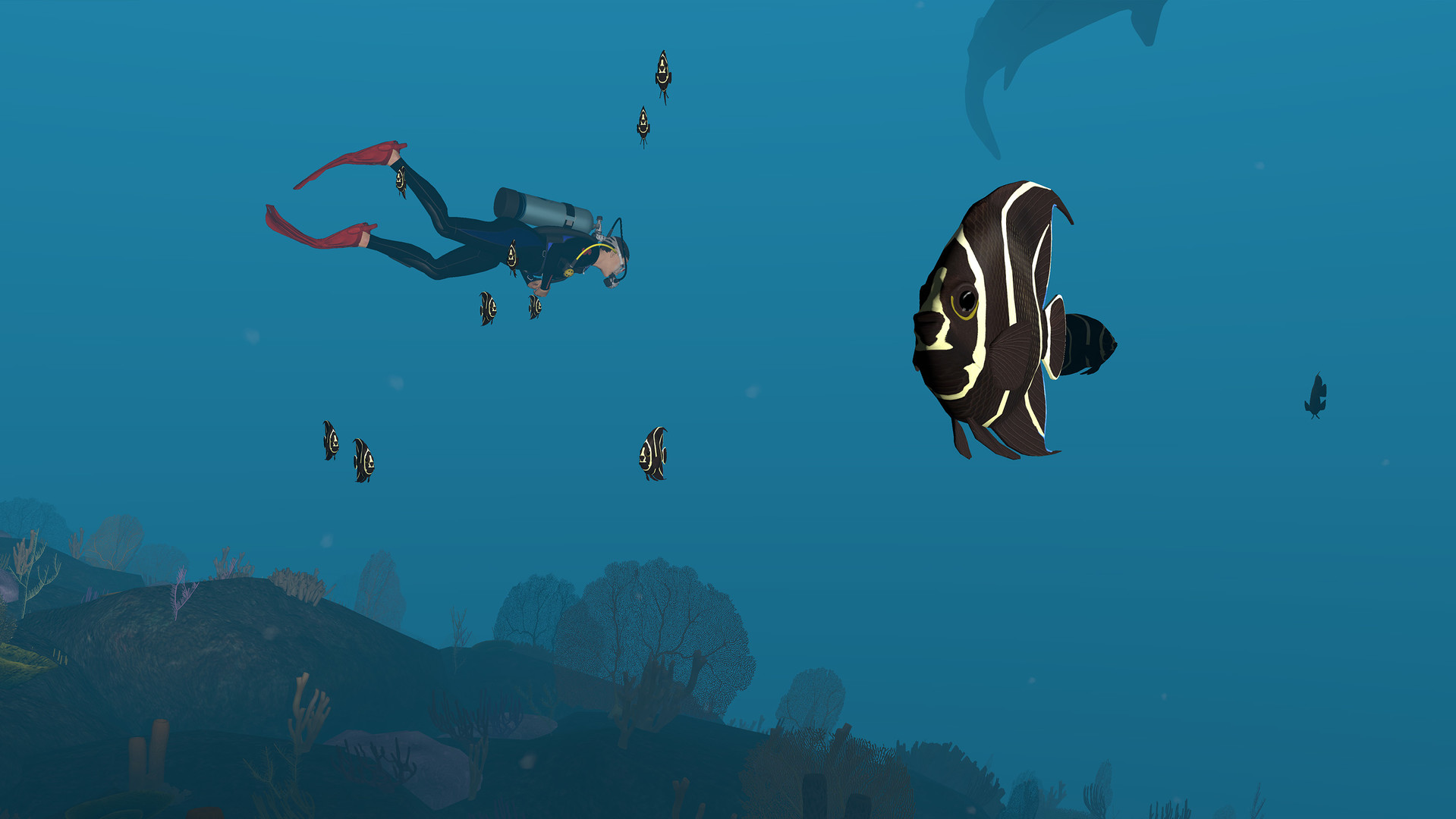 Dive with Sylvia VR
