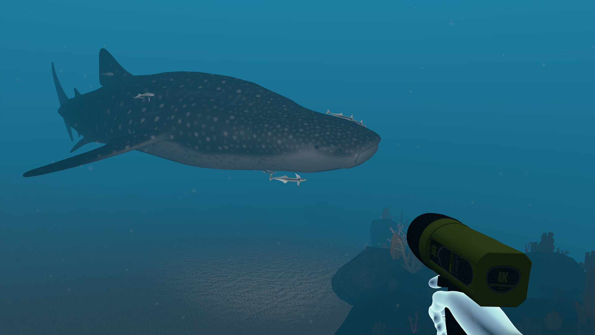 Dive with Sylvia VR