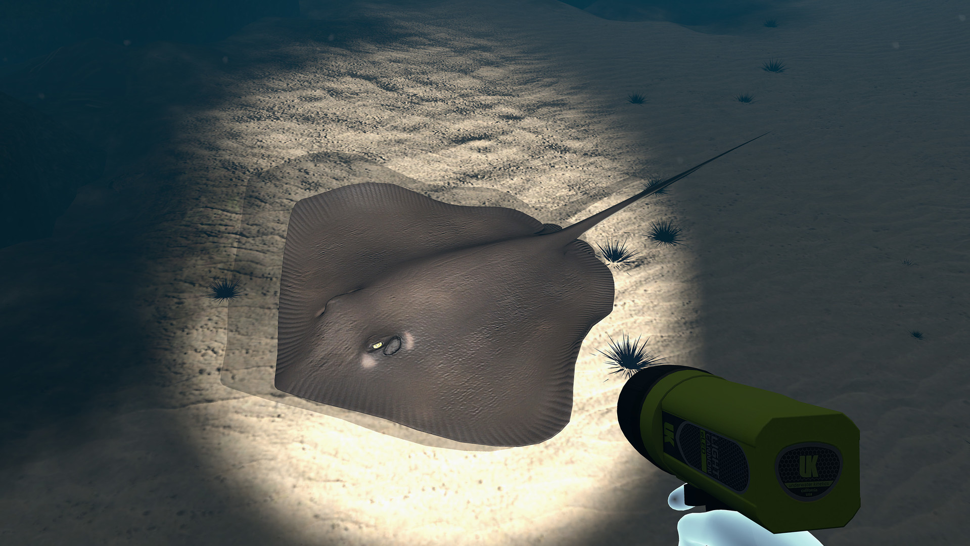 Dive with Sylvia VR