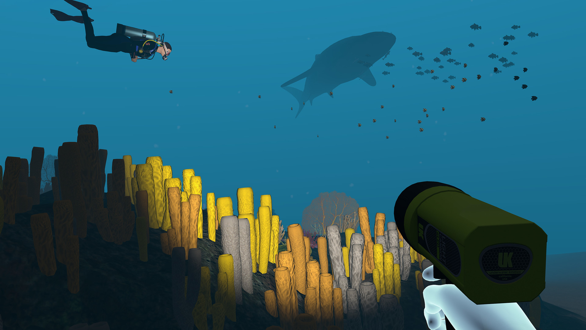 Dive with Sylvia VR