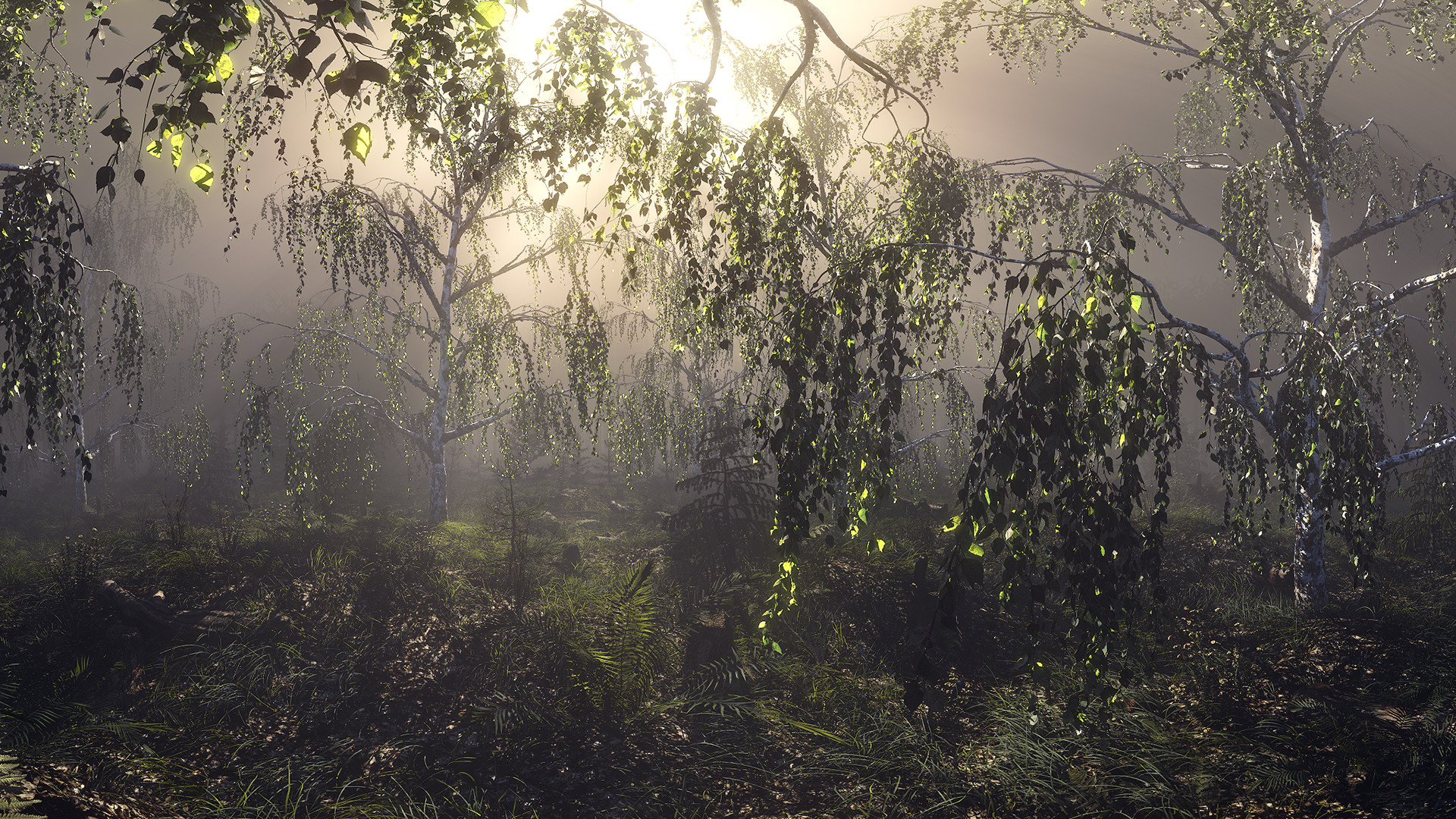 Conscious Existence – A Journey Within