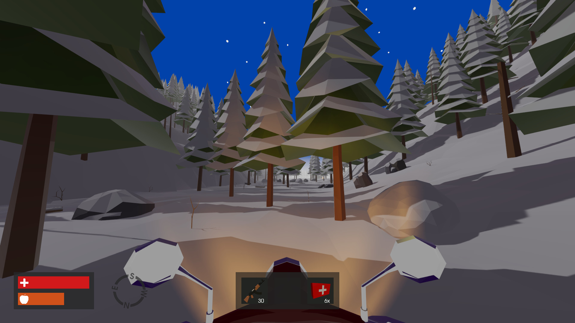 True North