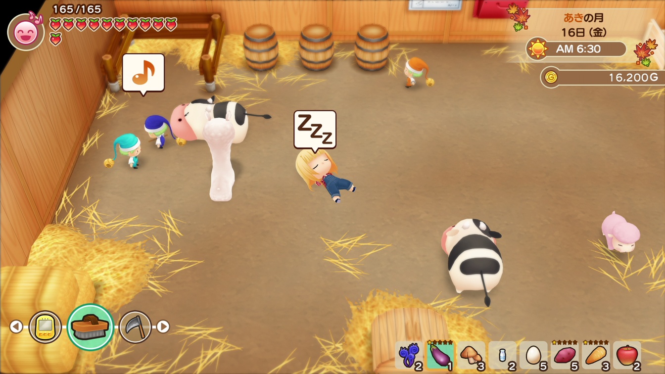 Story of Seasons: Friends of Mineral Town