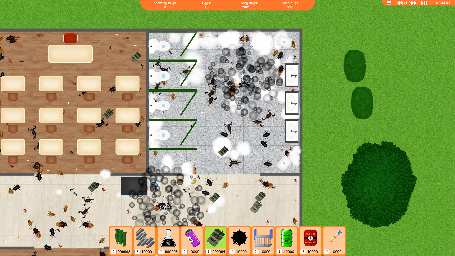 Bugs!