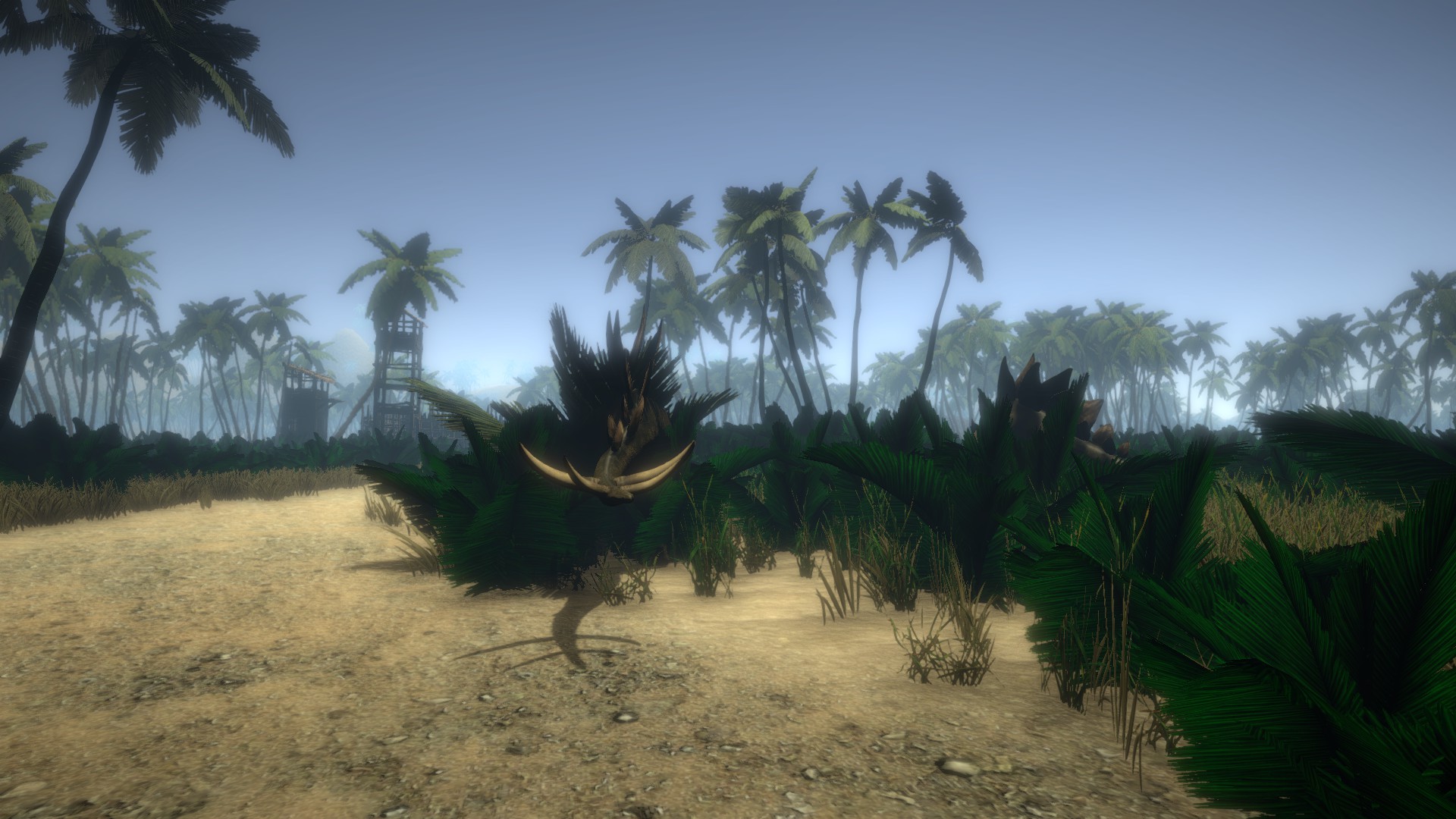 Island 1979