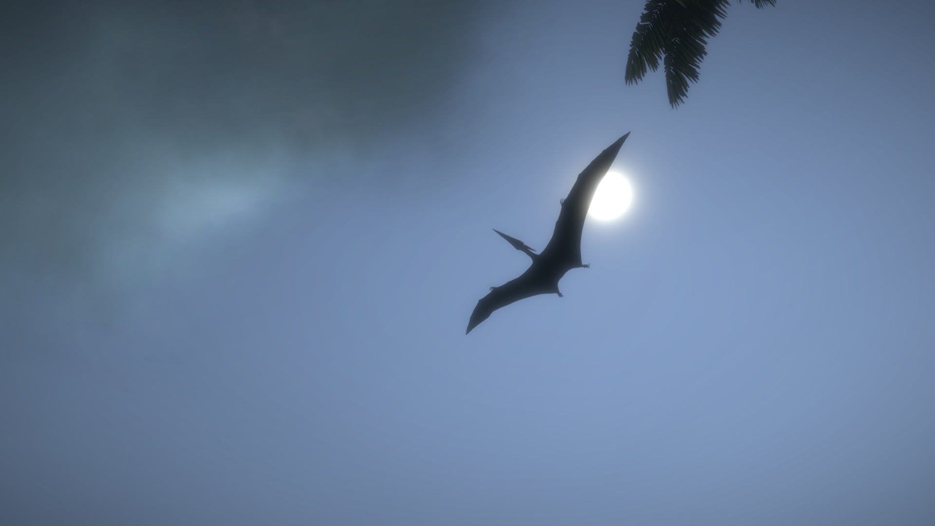 Island 1979