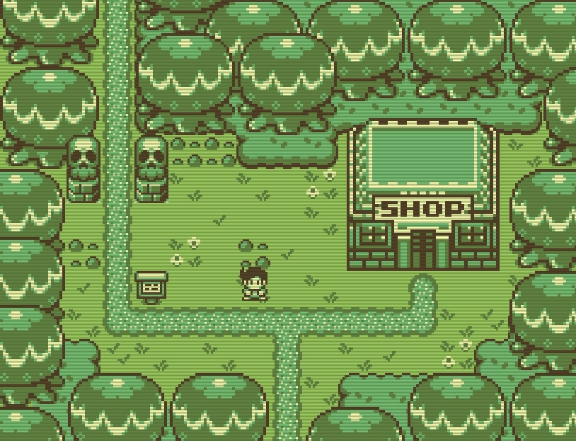 Timothy and the Mysterious Forest