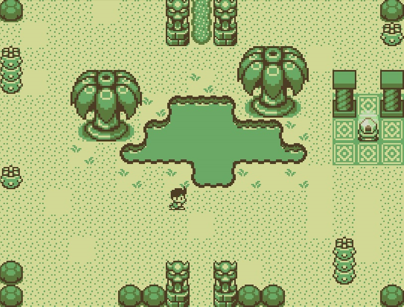 Timothy and the Mysterious Forest