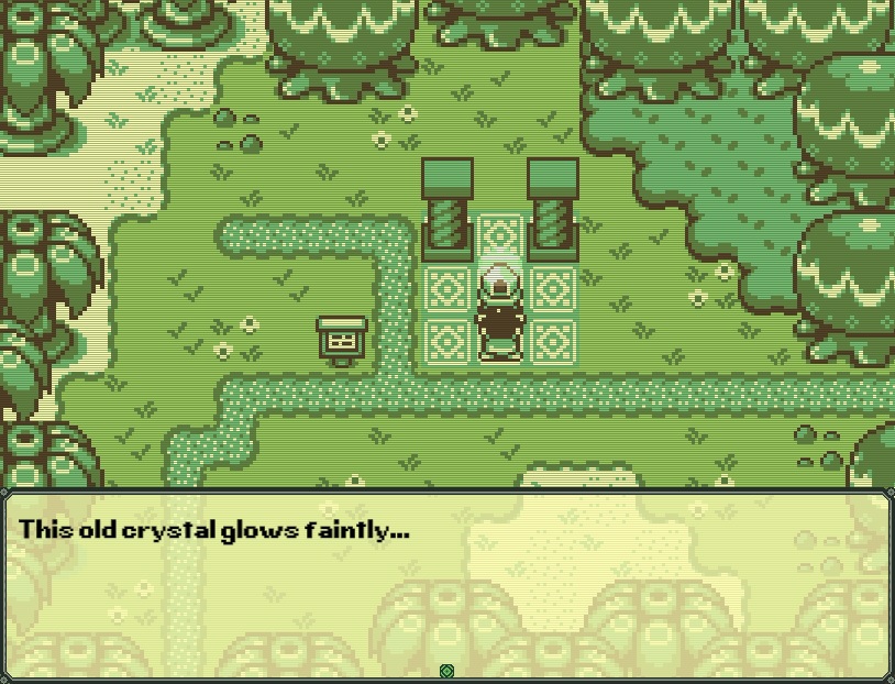 Timothy and the Mysterious Forest