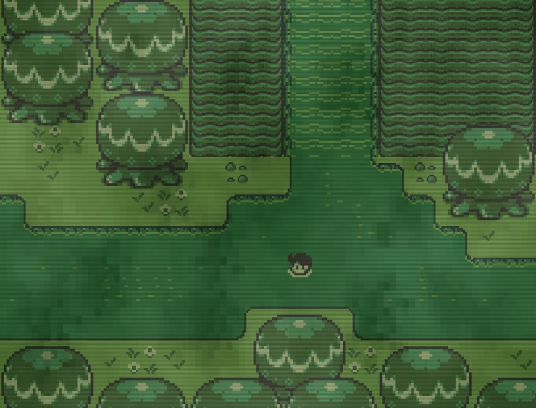 Timothy and the Mysterious Forest