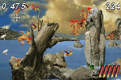 Moorhen 3: The Chicken Chase!