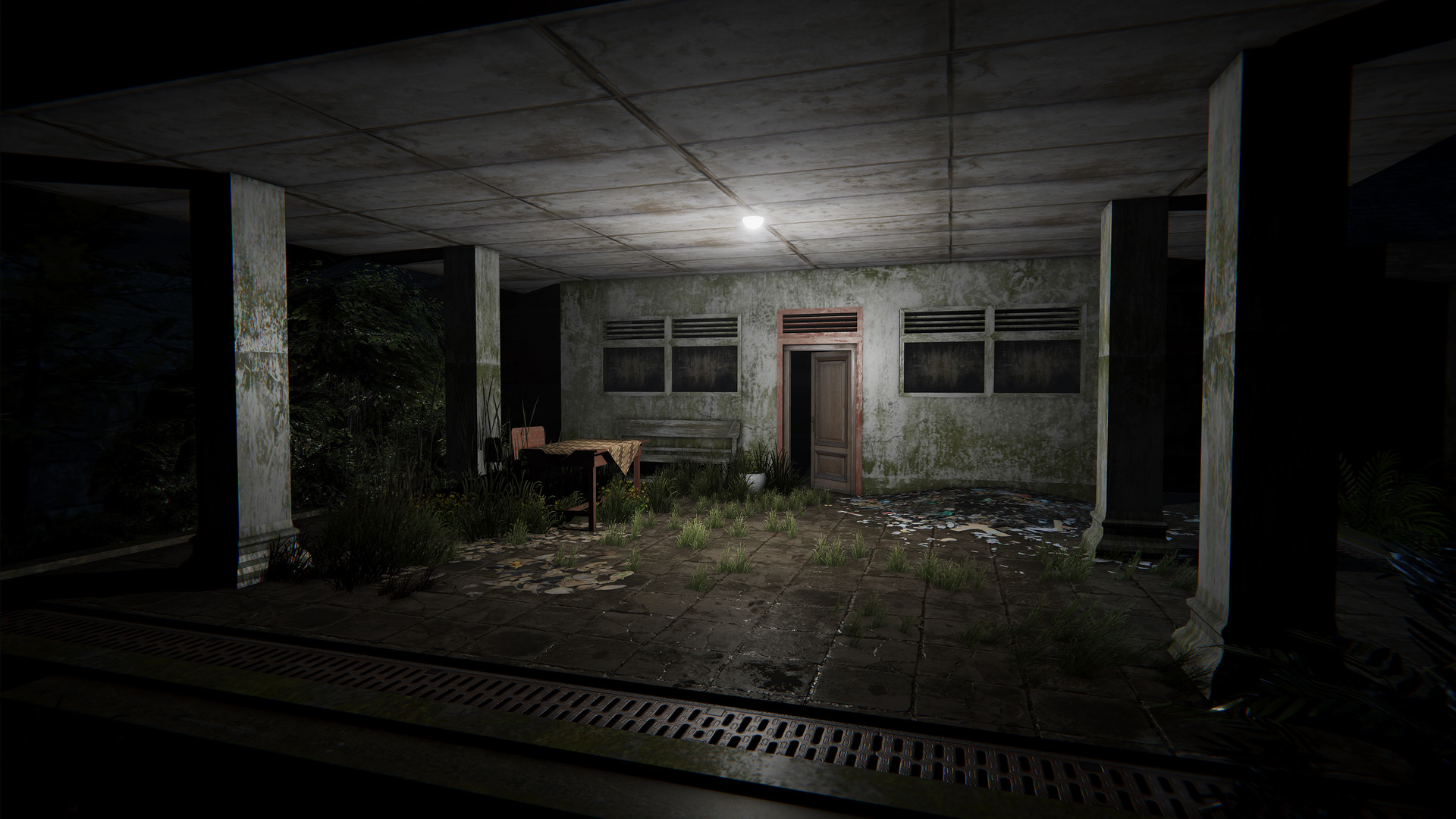 Pulang Insanity: Director’s Cut