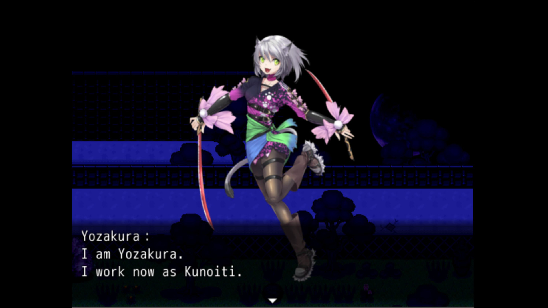 Kunoichi Ninja