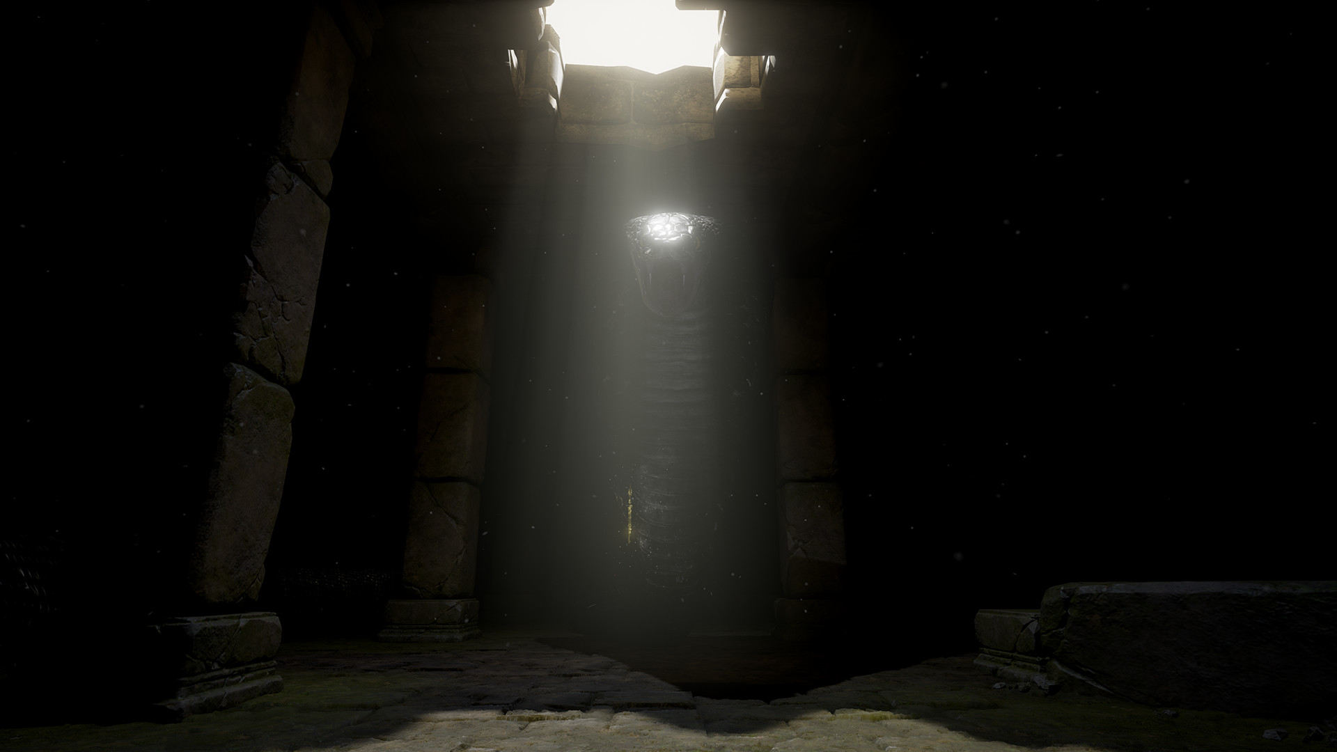 Follow the White Rabbit VR