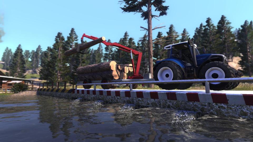 Lumberjack’s Dynasty