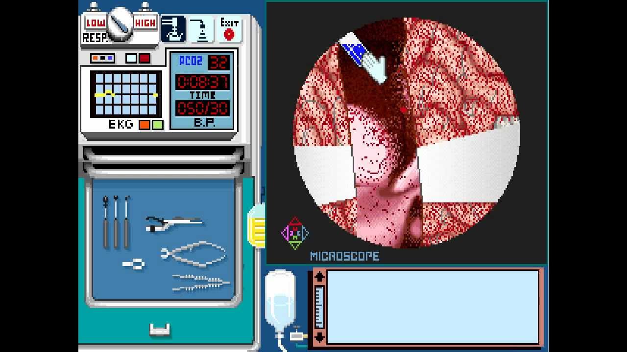 Life &amp; Death II: The Brain