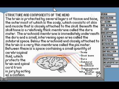 Life &amp; Death II: The Brain