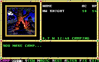 Neverwinter Nights
