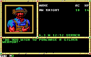 Neverwinter Nights