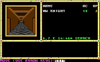 Neverwinter Nights