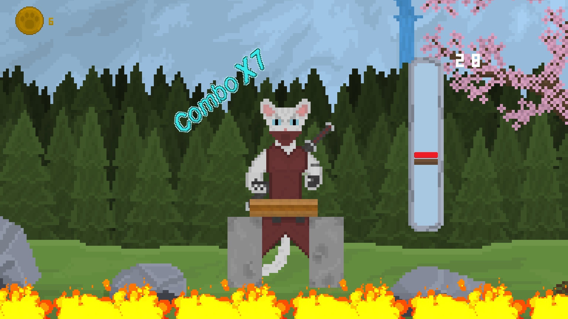 Karate Cat