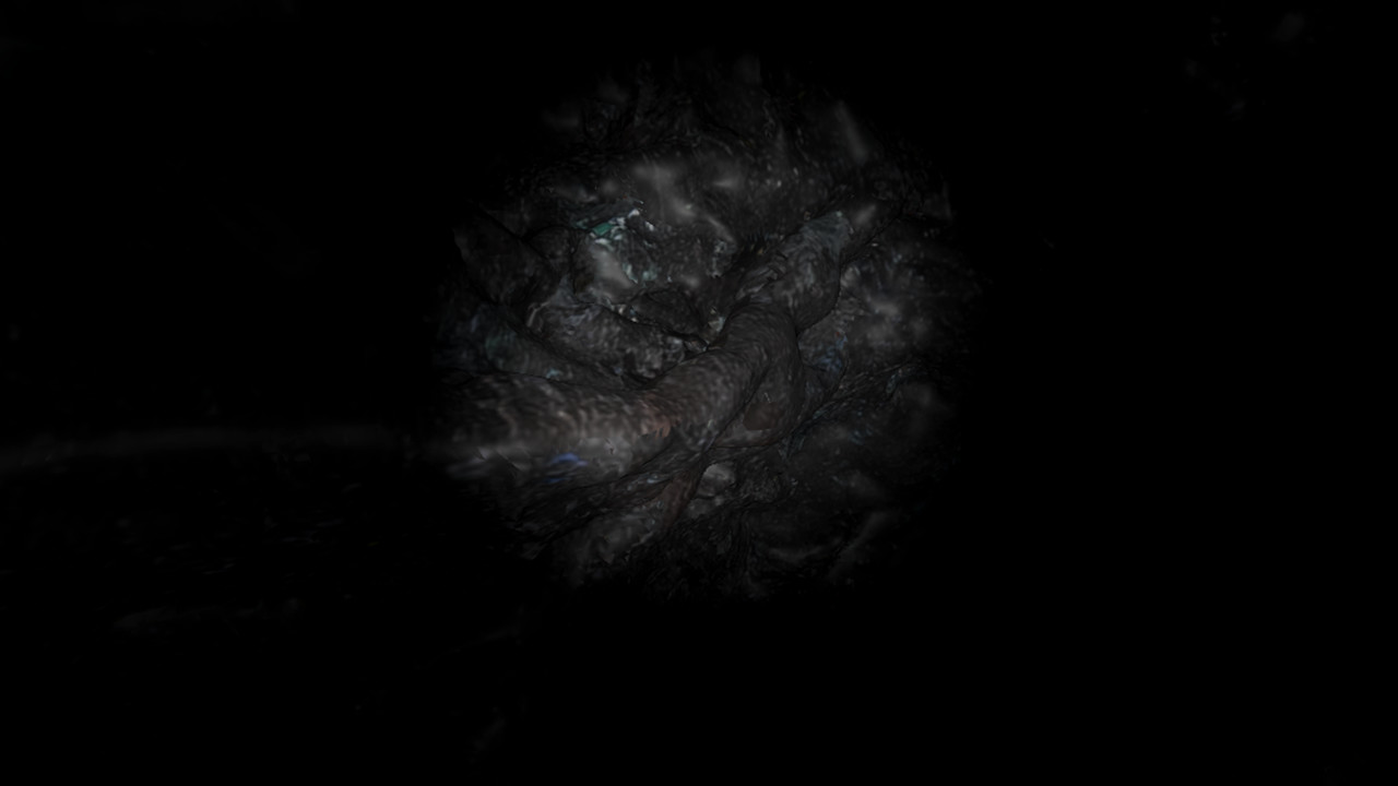In – Sight