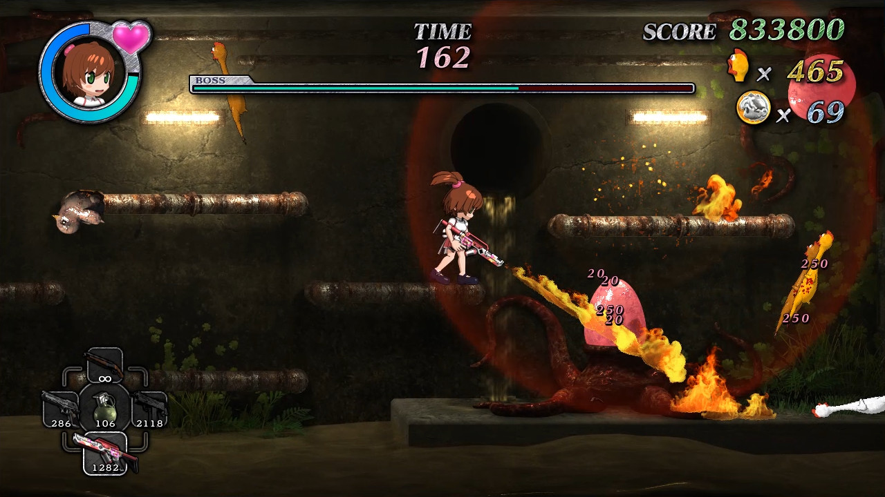 Shooting Chicken Brutal Suckers